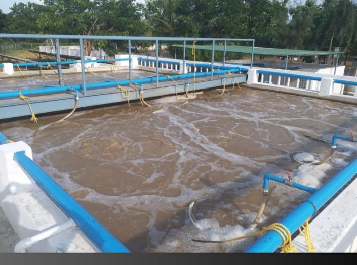 Sewage Treatment Plant